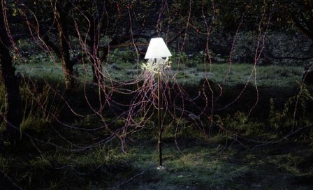 Caleb-Charland-Apple-Trees-and-LEDs-2011